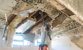 Mold Remediation for Vacation Homes in Saratoga Springs, NY